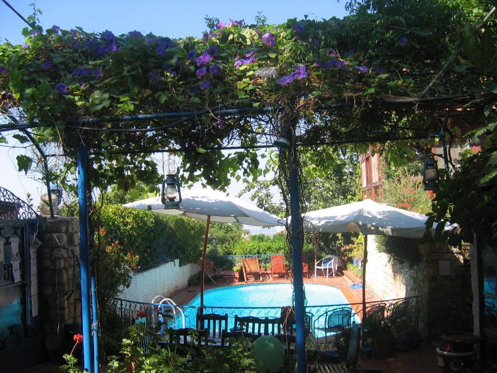 Villa Tehila - By V Club Chain Rosh Pinna Buitenkant foto